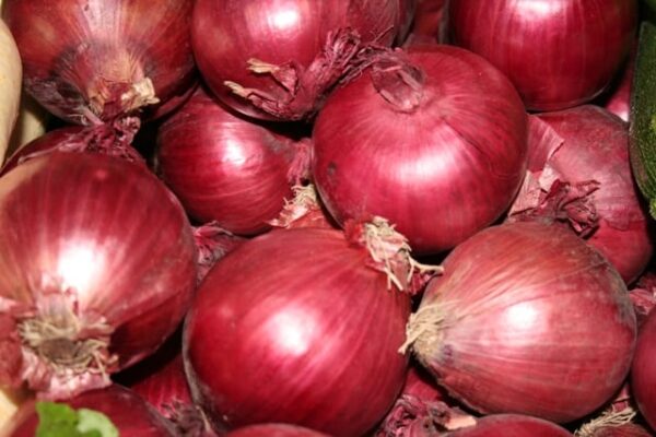 Onions (Red)