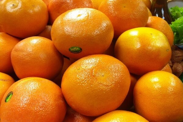 Grapefruit