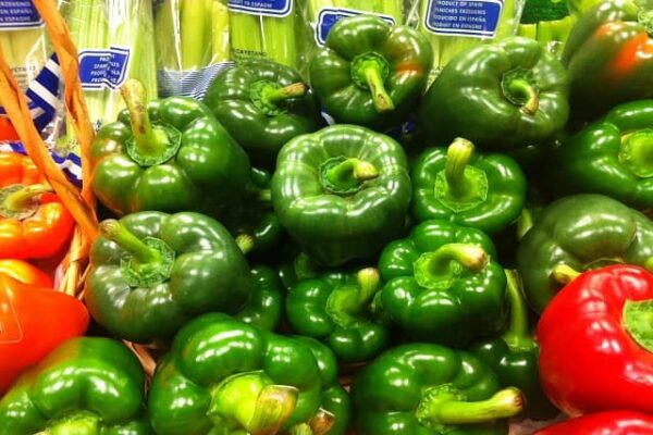 Peppers Green (Large)