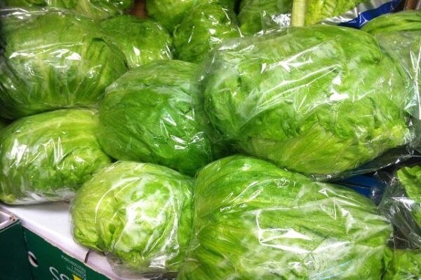 Lettuce (Iceberg) Large
