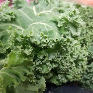 Curly Kale
