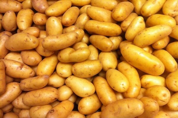 Potatoes (baby new)