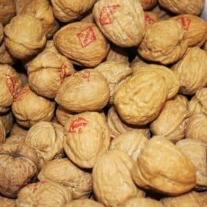Walnuts New Season