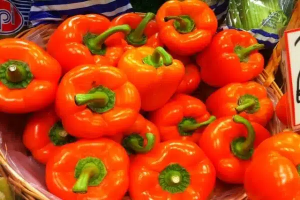 Peppers Orange