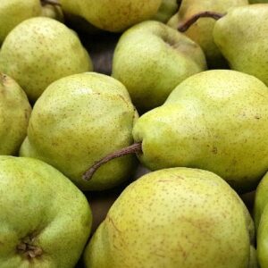 Pears (William)