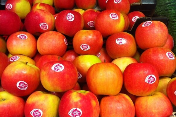 Apples Pink Lady