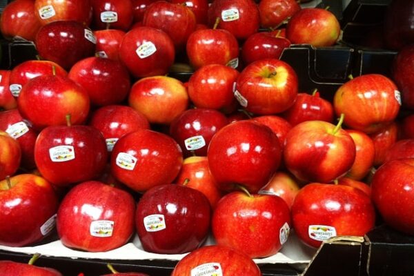 Apples Royal Gala