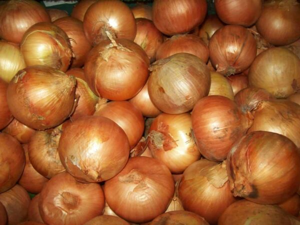 Onions (Cooking)