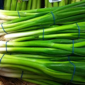 Spring Onion