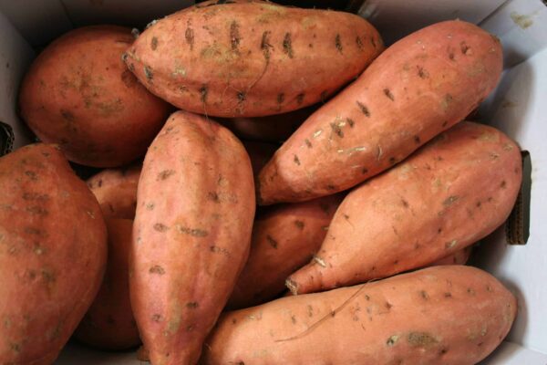 Potatoes Sweet (extra-large)