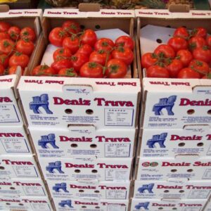 Vine Tomatoes per Box