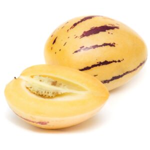 Papino Melon