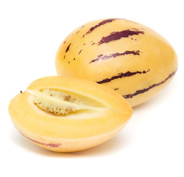 Papino Melon